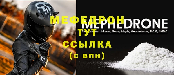 индика Медвежьегорск