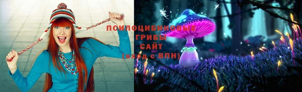 ГАЛЛЮЦИНОГЕННЫЕ ГРИБЫ Мегион