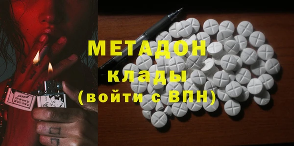индика Медвежьегорск