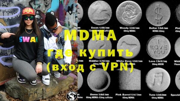 индика Медвежьегорск