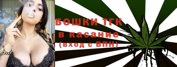 индика Медвежьегорск