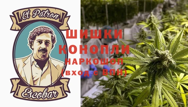 ГАЛЛЮЦИНОГЕННЫЕ ГРИБЫ Мегион