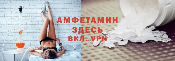 индика Медвежьегорск