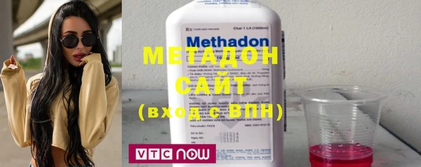 индика Медвежьегорск