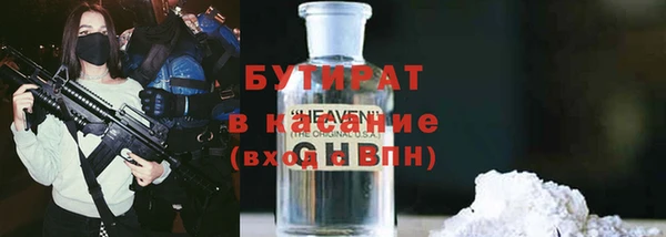 индика Медвежьегорск