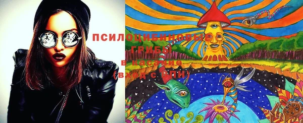 индика Медвежьегорск