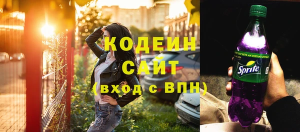 индика Медвежьегорск