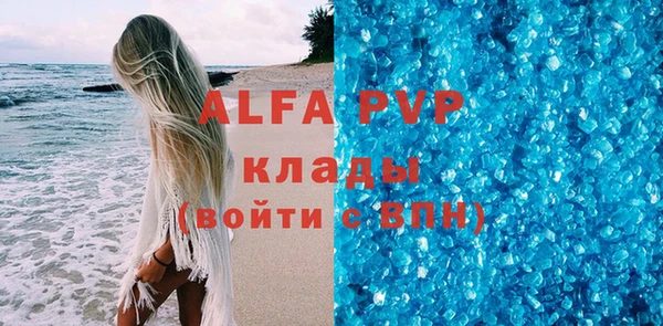 индика Медвежьегорск