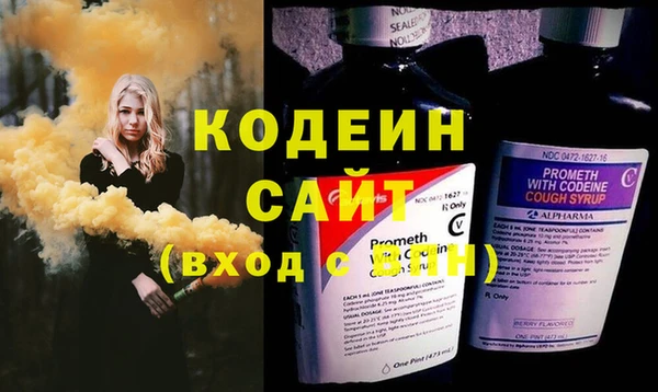 индика Медвежьегорск
