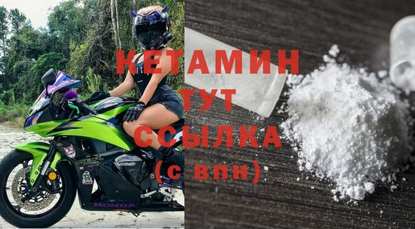 индика Медвежьегорск