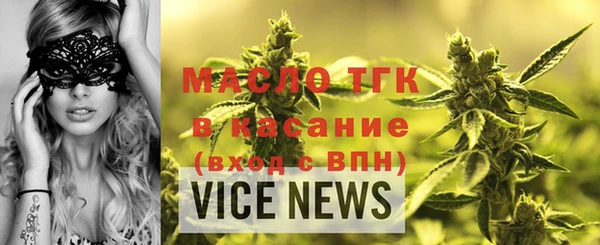 индика Медвежьегорск