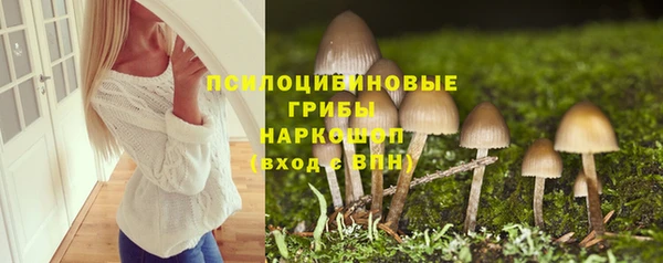 индика Медвежьегорск