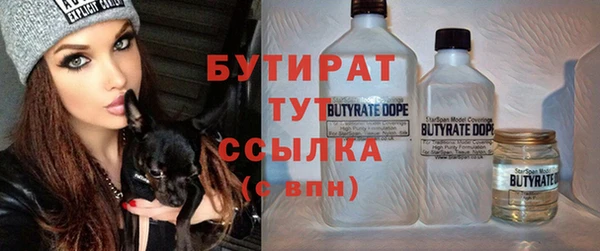 индика Медвежьегорск
